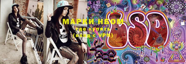 МДПВ Новозыбков