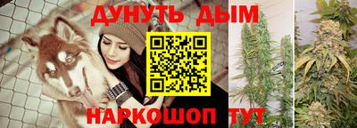 ешки Гатчина