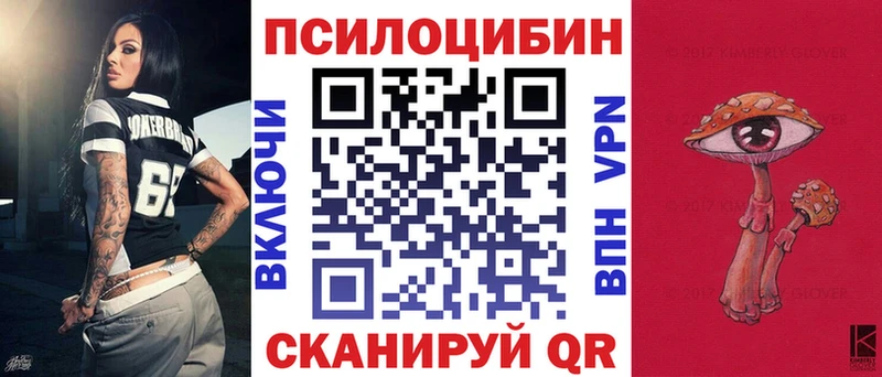Галлюциногенные грибы Psilocybine cubensis  Минусинск 