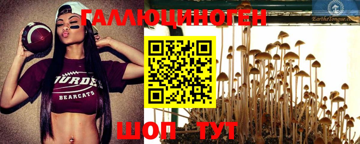 Псилоцибиновые грибы Magic Shrooms Минусинск