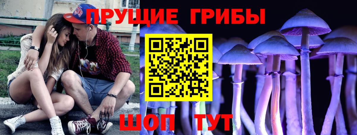 Минусинск  Галлюциногенные грибы Psilocybe  Вход с VPN 